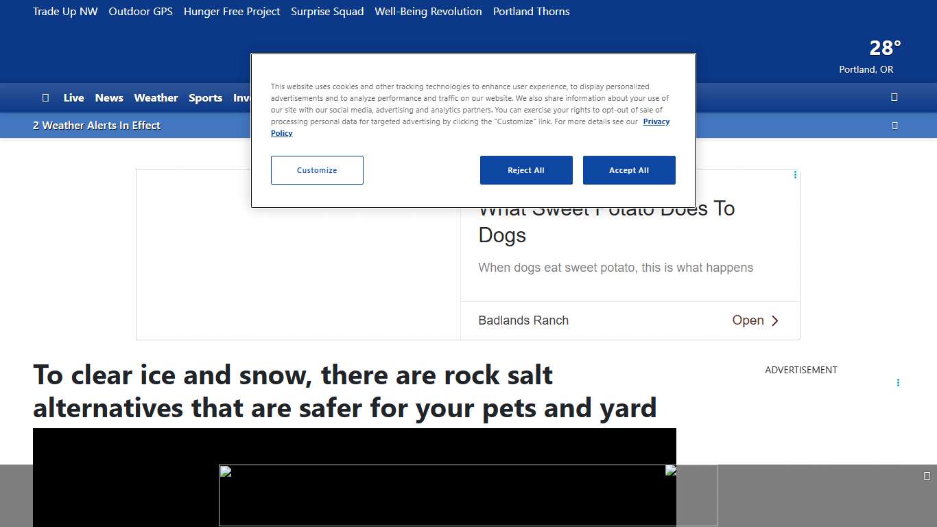 To clear ice and snow, there are rock salt alternatives that are safer for your pets and yard